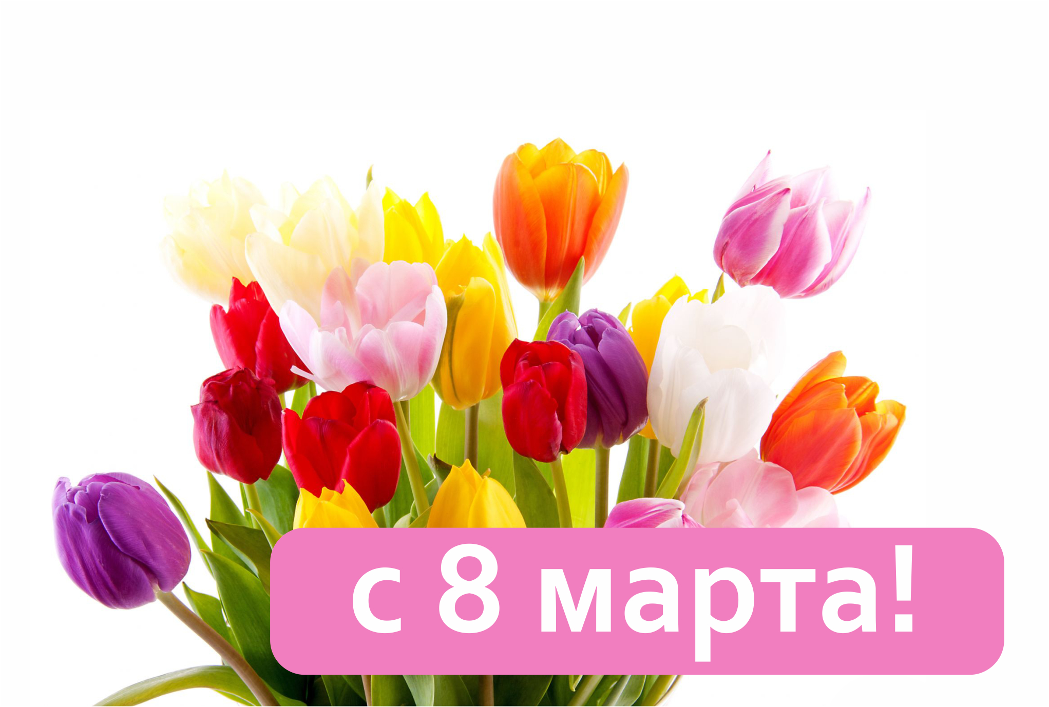 Поздравление главы городского округа Тольятти Н.А. Ренца с праздником "8 марта".